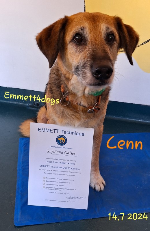 emmet